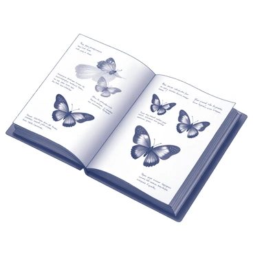An open sketchbook lying on a flat surface. The pages are filled with intricate illustrations of various butterflies, showcasing their unique wing patterns and shapes. Each butterfly is labeled with its common and scientific names written in neat, legible handwriting. Surrounding the illustrations are hand-written notes, detailing observations about their habitats and behaviors. The sketchbook itself has a textured cover, and the edges of the pages are slightly worn, indicating frequent use.