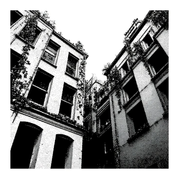 An abandoned city is depicted, with buildings in various states of decay. Large trees are growing through the cracks in the concrete, their roots visibly entwined with the structure. Vines creep up the sides of dilapidated walls, adorned with lush leaves. Various plants are sprouting from windowsills and rooftops, adding a vibrant touch to the scene. The sky is clear, hinting at a sense of rebirth in this forgotten urban landscape.