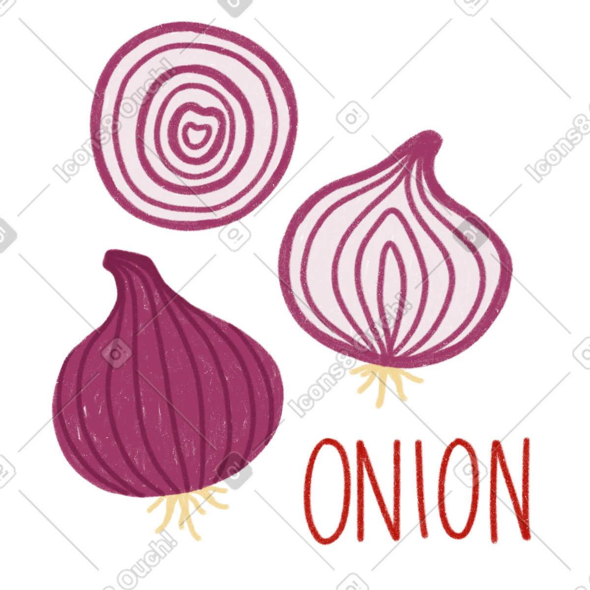 Ilustración Cebolla, media rodaja de cebolla y letras. en estilo Cozy a descargar en PNG SVG