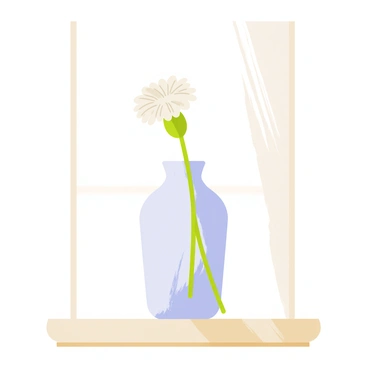 A simple glass vase with a smooth, transparent surface holds a single white carnation with delicate petals. The carnation is positioned upright, showcasing its full bloom. The vase is placed on a windowsill that is made of light wood with a softly polished finish. Sunlight filters through the window, casting gentle shadows on the surface of the sill, and a faint reflection of the flower can be seen on the glass.