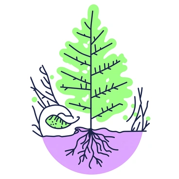 A detailed illustration of a fern plant is central to the composition. The fern's root structure is clearly visible, showcasing intricate, branching roots that spread out into the soil. Above the ground, the fronds of the fern display a variety of leaf shapes, with a close-up view highlighting the leaf anatomy. Each frond is divided into smaller leaflets, known as pinnae, which exhibit fine veins. The texture of the leaves is depicted in fine detail, capturing the delicate nature of the fern. The background subtly hints at the natural environment, with hints of soil and other foliage to create context.