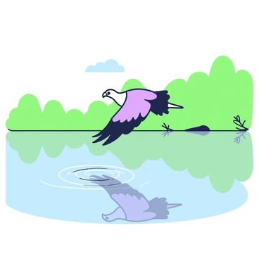 A turkey vulture is flying low above the surface of a calm lake. Its wings are spread wide as it glides effortlessly, just inches above the water. The lake reflects the surrounding scenery, creating a mirror-like effect. In the foreground, gentle ripples are visible where the vulture's wings disturb the surface. The background features a lush border of green trees and foliage, adding depth to the scene. The skies above are clear, allowing natural light to illuminate the vulture's feathers.