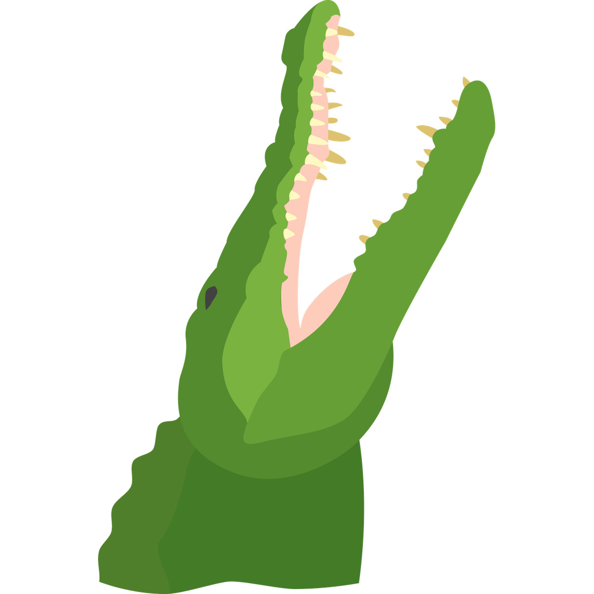 Ilustración Alligator en estilo Fogg a descargar en PNG y SVG