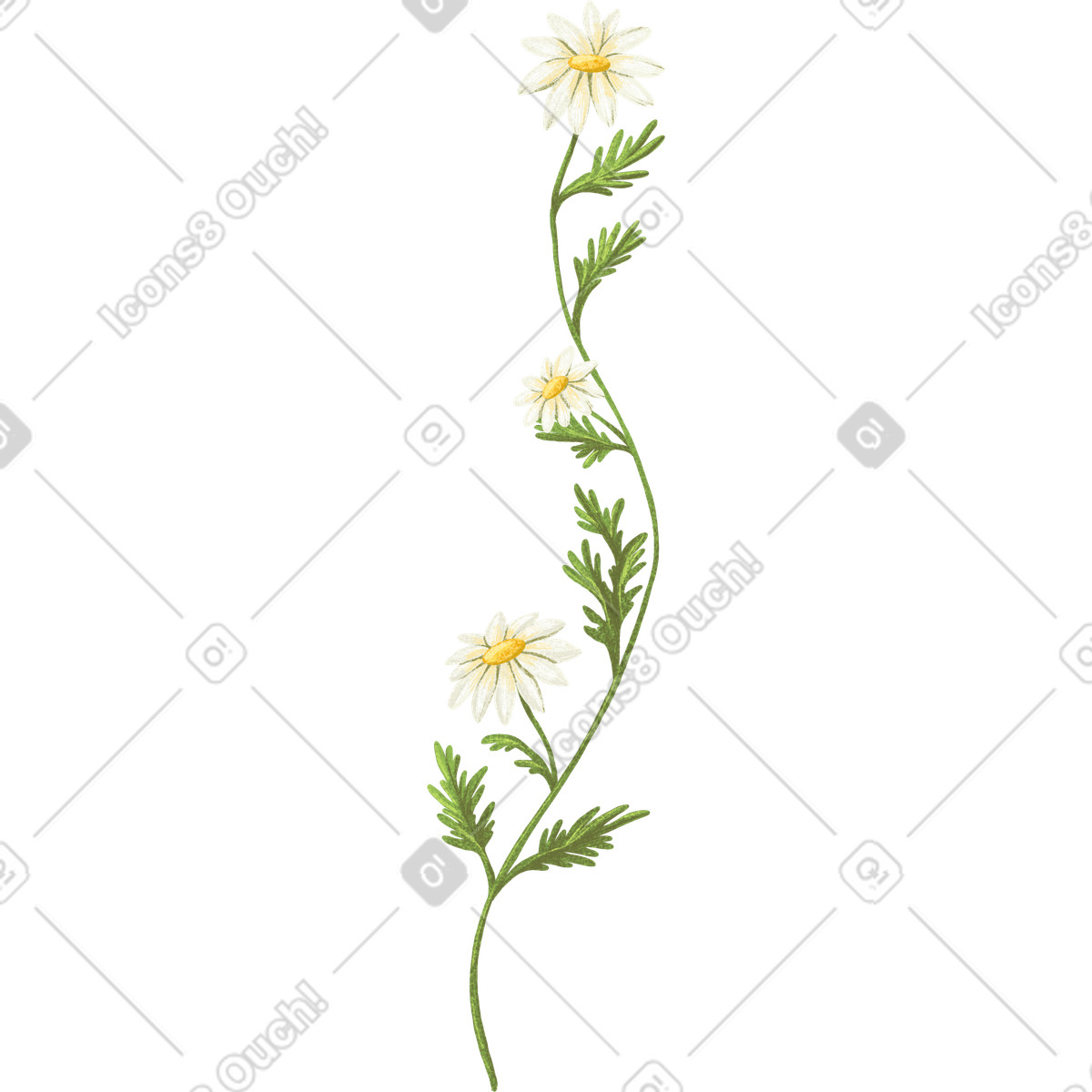 Ilustração de Margaridas em um galho verde no estilo Floral para baixar PNG, SVG