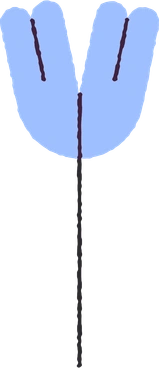 Flower PNG, SVG