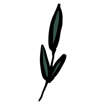 Three green leaves on a black background - Scandi style illustration