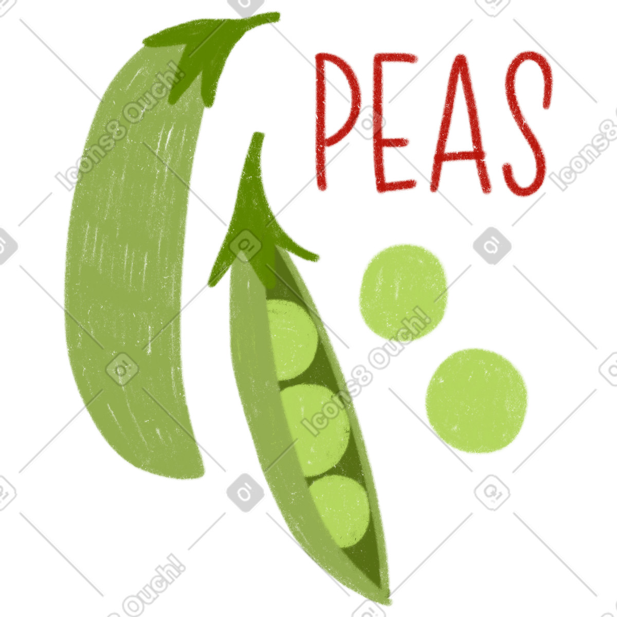 Peas and opened green pea pod with lettering illustration in Cozy style download in PNG, SVG