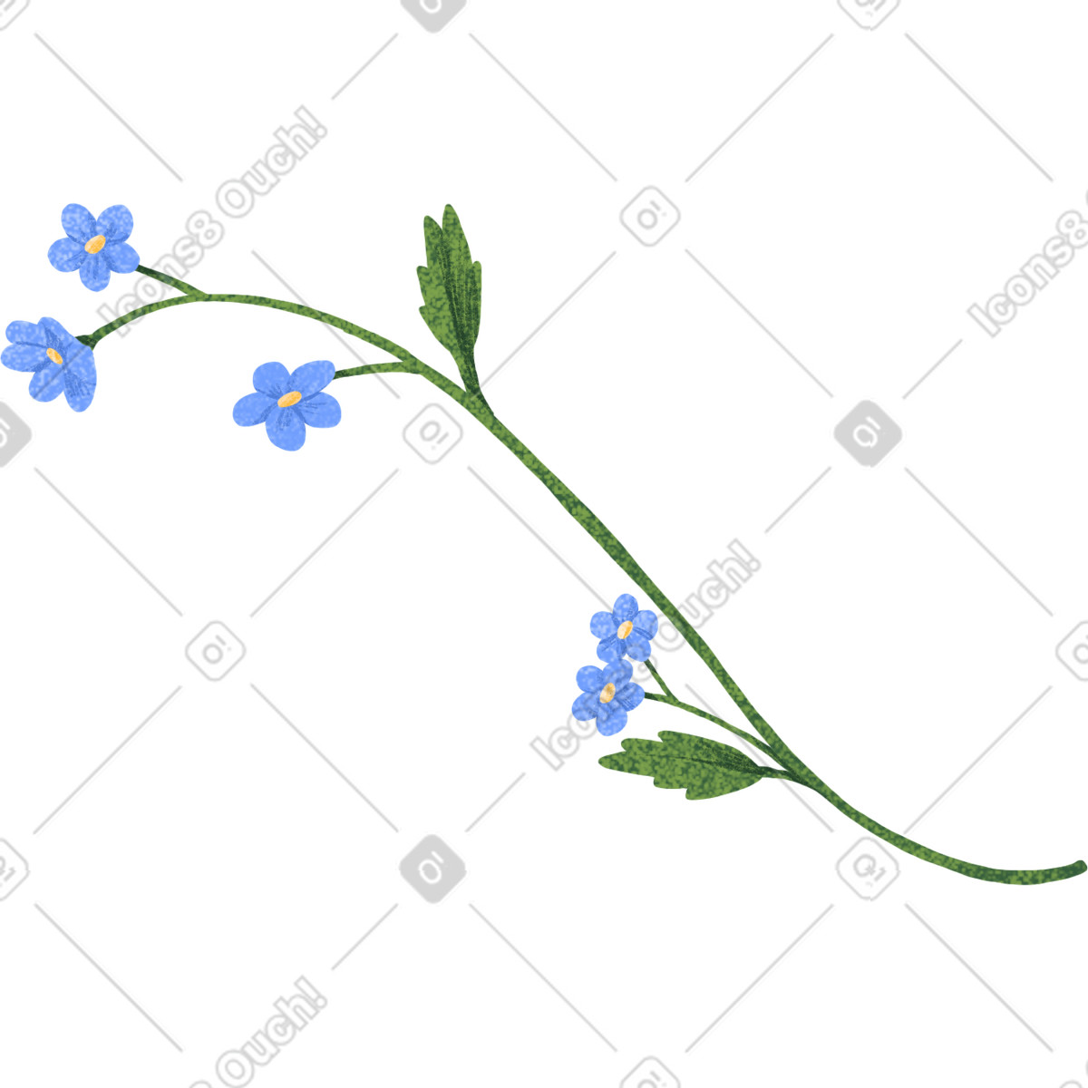 Иллюстрация Незабудки с листьями в стиле Floral — скачать в форматах PNG, SVG
