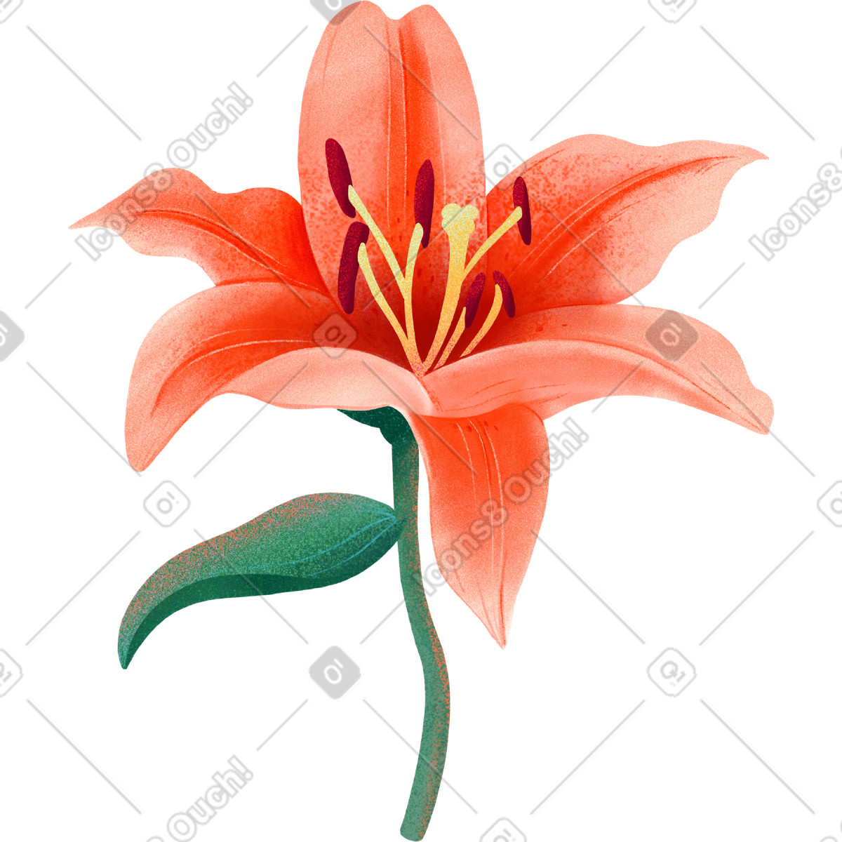 Ilustración Orange lily on a stem en estilo Floral descargar en PNG y SVG