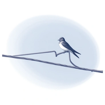 Hirondelle
