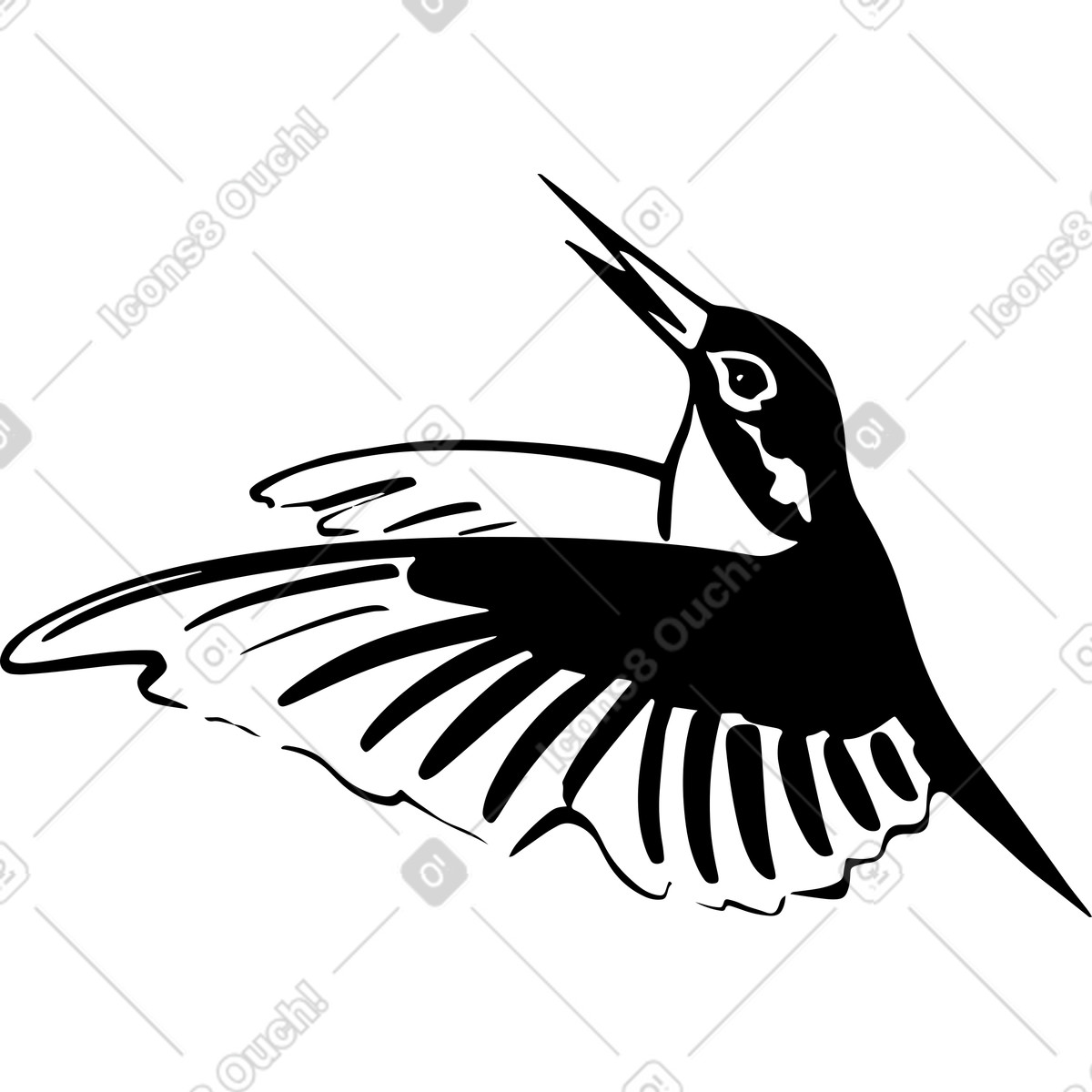 Colibrì in volo illustrazione stile Line scarica PNG, SVG