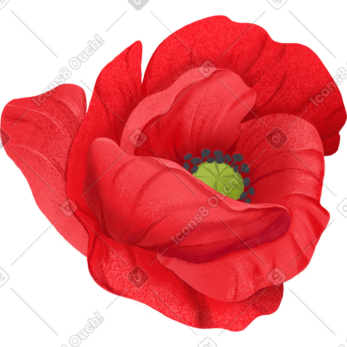 Floral 스타일의 Opened red poppy flower 일러스트레이션 PNG, SVG 다운로드