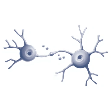 Two neurons with synaptic connections highlighted, exchanging neurotransmitters