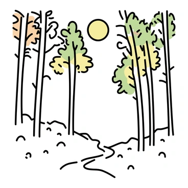 A forest with tall trees, their trunks straight and slender. The leaves are green, and some are tinged with shades of orange and yellow, suggesting the changing seasons. The sun is partially visible, casting a warm glow through the branches. Rays of light break through the canopy, illuminating patches of the forest floor covered in soft moss and fallen leaves. The scene is quiet, with a few scattered rocks and a narrow path winding through the trees.