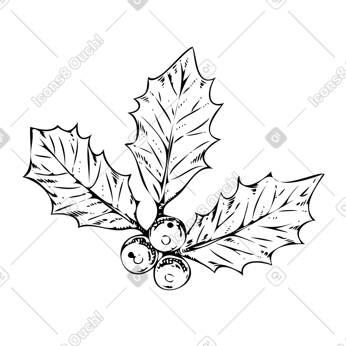 Agrifoglio americano con bacche illustrazione in stile Experimental scarica in PNG, SVG