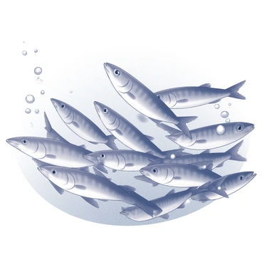 A large school of anchovies swimming closely together in a vast underwater expanse. Each fish has a streamlined body, with reflective scales that shimmer subtly. The water surrounding them is clear, allowing light to filter through and illuminate the movements of the school. The anchovies are moving in a coordinated manner, creating fluid shapes as they navigate through the ocean. Bubbles rise from their fins, adding dynamic movement to the scene. The overall impression is a bustling, lively group within the expansive underwater environment.