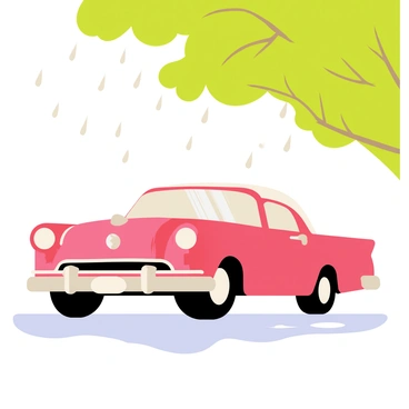 50s