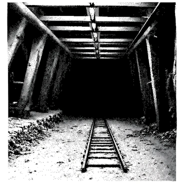 An abandoned mineshaft is depicted with weathered wooden beams supporting the ceiling. The ground is uneven, covered in loose stones and dirt. Rusted minecart tracks run along the floor, leading into the dark depths of the mineshaft. Shadows cast by the beams create a sense of depth, while cobwebs hang in the corners, suggesting a long period of neglect. The atmosphere is dense with dust particles suspended in the air, adding to the overall sense of abandonment in the scene.