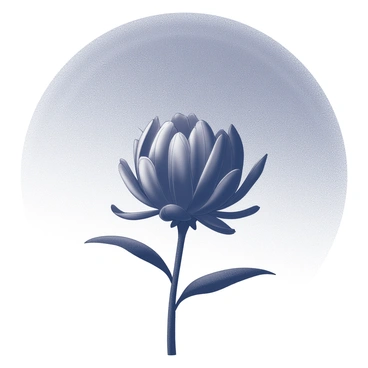 A silhouetted protea flower stands prominently in the foreground. The flower displays its distinct shape and intricate petals clearly defined against the backdrop. The sky is filled with a gradient of hues, transitioning from black at the top to lighter shades as it approaches the horizon. The overall composition emphasizes the contrast between the dark flower and the bright sky, creating a striking visual effect.