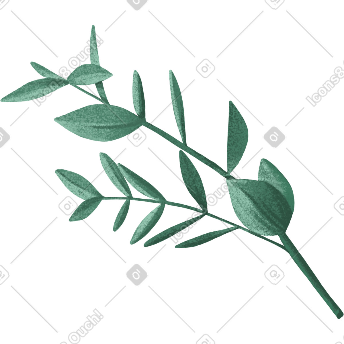 Dark green decorative twig with oval leaves illustration in Floral style download in PNG, SVG