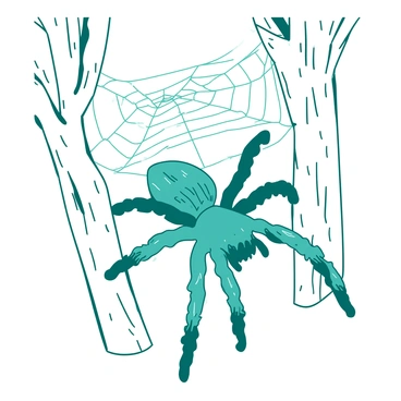 A teal tarantula is skillfully spinning an intricate web between two tall white trees. The trees have rough, textured bark, and their branches stretch outwards, creating a natural frame for the web. The web glistens with dew, displaying a complex pattern that catches the soft light filtering through the leaves. The scene conveys a sense of harmony between the creature and its environment.