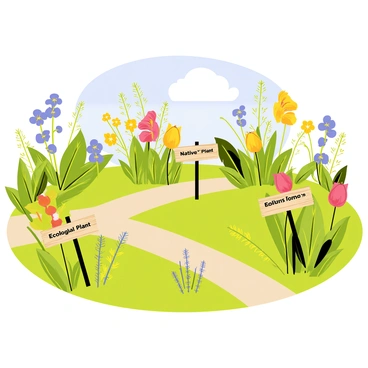 An educational garden filled with a variety of native plants, each exhibiting vibrant colors and unique shapes. Lush green foliage surrounds blooming flowers in shades of purple, yellow, and red. Wooden signs are placed beside each plant, featuring clear text that reads "Native Plant" and "Ecological Importance," providing information about their role in the ecosystem. The garden is neatly arranged with pathways leading through the plants, inviting exploration and learning. A bright blue sky overhead complements the scene, enhancing the cheerful atmosphere of the educational space.