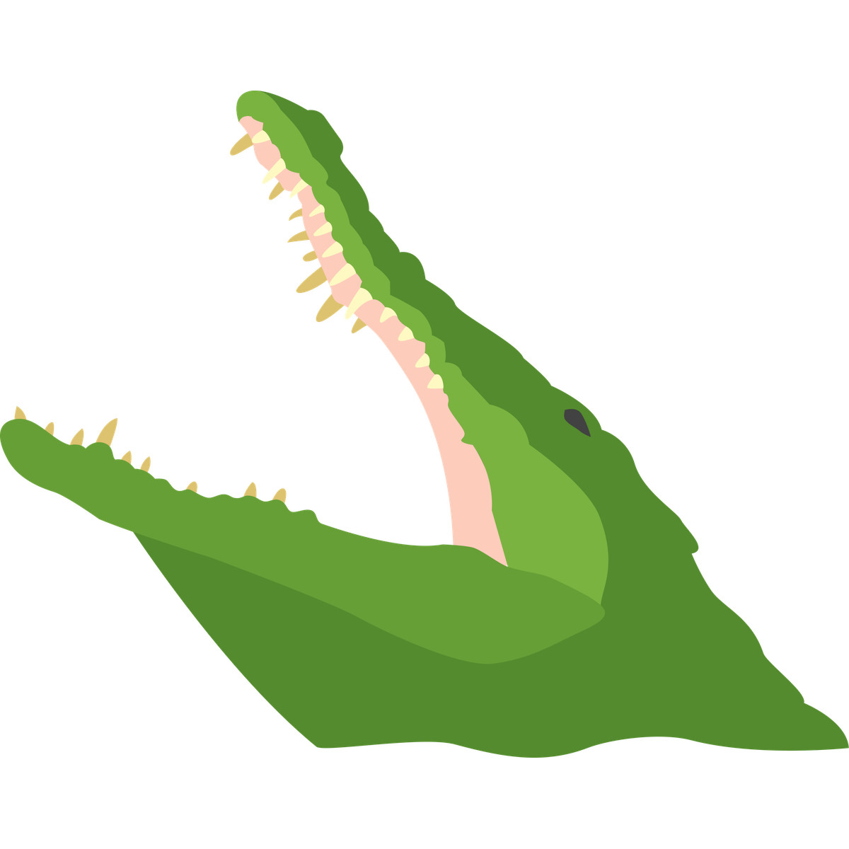 Ilustración Alligator en estilo Fogg a descargar en PNG y SVG