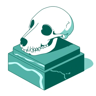A white dog skull is positioned prominently on a polished teal marble pedestal. The skull is detailed, showcasing the fine features of the canine structure, with hollow eye sockets and sharp canine teeth. The marble pedestal has intricate veining and a smooth surface, enhancing its elegance. The background is softly blurred, drawing attention to the striking contrast between the white skull and the teal marble.