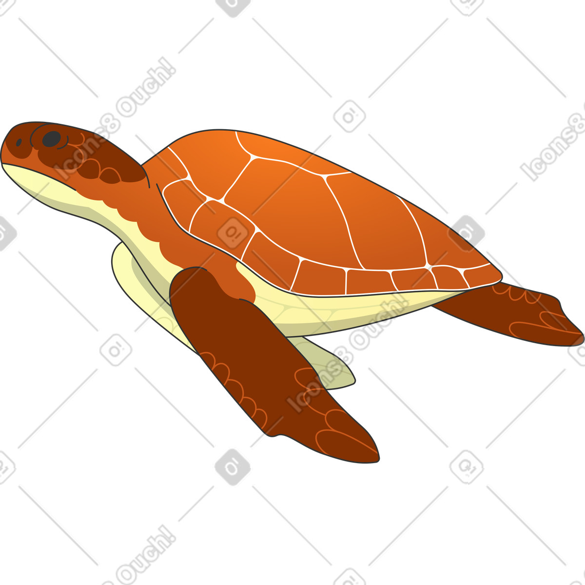 Medium turtle illustration in Kit style download in PNG, SVG
