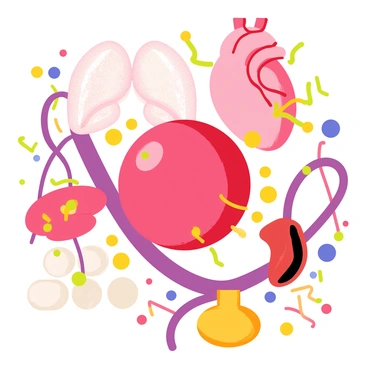 A round red blood cell with a smooth surface and a deep red color is navigating through a vibrant human body landscape. The background features various organs such as a large heart with pronounced arteries and veins, a pair of lungs shaped like delicate, pink structures, and a shiny liver with a rich brown hue. Around the blood cell, colorful blood vessels are pulsating, creating a dynamic environment. The scene includes clusters of cells like white blood cells that are slightly larger and have a lighter shade, adding to the exploration theme. The overall composition is lively and filled with intricate details representing the human body's internal landscape.