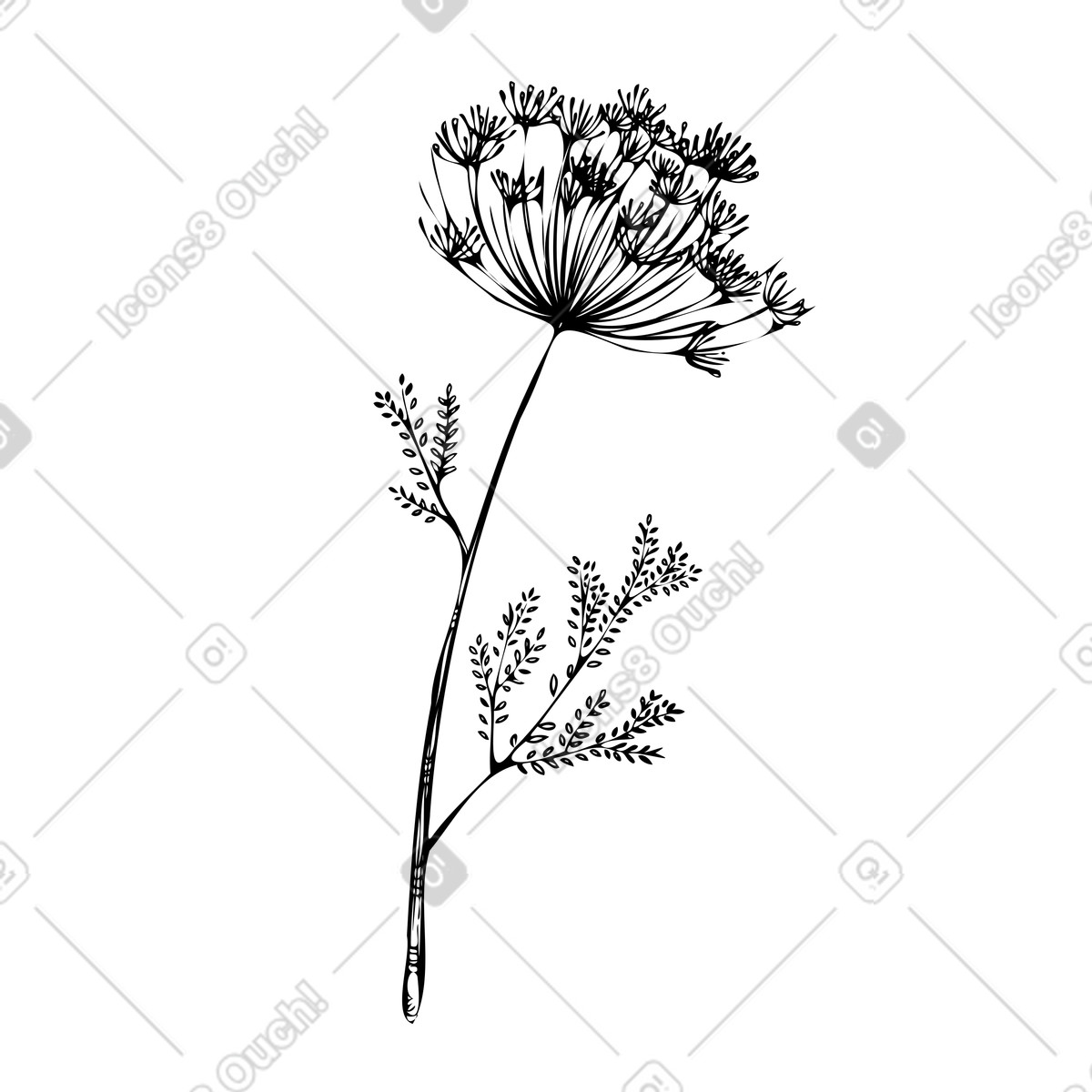 下载 Experimental 风格的 西洋蓍草植物 插画，支持 PNG、SVG 格式
