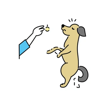 A brown dog standing on its hind legs, balancing carefully. Its ears are perked up, and its tail is wagging with excitement. The dog is looking up at a person, who is holding a small treat in their hand. The background is simple and uncluttered, drawing focus to the dog and the interaction.