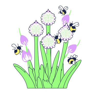 A group of bees is buzzing around several flowering onion plants. The bees are flying energetically, with their wings in motion, and are shown landing on the delicate white spherical clusters of tiny flowers atop the onion plants. The onion plants have long green stems that rise from the ground, supporting the clusters. Each flower cluster is detailed with tiny petals, and the bees are depicted in various positions, some hovering nearby while others are actively collecting pollen. In the background, additional greenery complements the scene, emphasizing the natural environment.