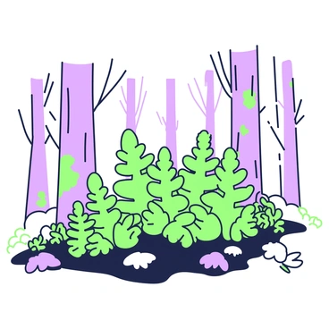 A group of ferns with delicate fronds is scattered on the forest floor, lightly dusted with a thin layer of snow. Surrounding the ferns, tall trees with bare branches rise, their trunks covered in patches of moss. In the background, there are more trees creating a natural frame around the scene. The ground is a mix of dark earth and white snow, highlighting the vibrant green of the ferns. A few fallen leaves can be seen beneath the snow, adding texture to the woodland floor.