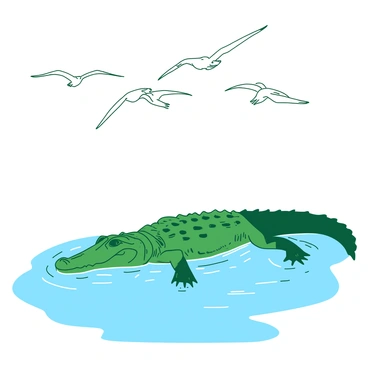 A green saltwater crocodile is submerged in a calm body of water, with only its eyes and snout visible above the surface. Its skin is textured and rugged, reflecting shades of green from the water around it. Above the crocodile, a flock of white birds is flying in a V formation, their wings spread wide as they glide through the air. The sunlight casts gentle ripples on the water, creating a shimmering effect that contrasts with the stillness of the crocodile below. The scene captures the tension of the predator quietly observing its potential prey.