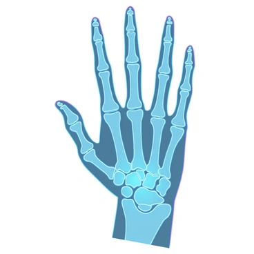 An X-ray image of a human hand, clearly displaying the intricate structure of the bones and joints. The phalanges, metacarpals, and carpal bones are all visible, with details of the joint spaces between them. The image has a high contrast, emphasizing the white bone structures against the darker background. The overall composition includes a clear outline of the hand's shape, showcasing the natural positioning of fingers in a relaxed stance.