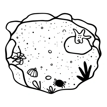 A tide pool filled with clear water showcasing visible sediment grains on the bottom. Various small sea creatures are scattered throughout the pool, including a starfish resting on a rock and a small crab scuttling near the edge. Seaweed gently sways with the movement of the water, creating an intricate pattern against the sandy surface. The overall scene is framed by rocky edges that create a natural boundary around the tide pool.
