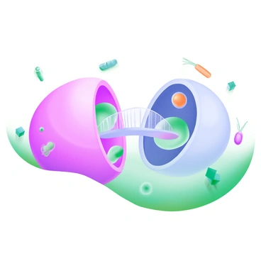 A modern pastel illustration depicting the "cytokinetic bridge" that forms between two dividing cells. The scene shows two rounded cell bodies, one pink and one light blue, with a delicate, thin bridge of cytoplasm connecting them in the center. The bridge is slightly transparent, allowing a glimpse of the chromosomes within each cell. Surrounding the cells are small, colorful organelles, such as mitochondria and endoplasmic reticulum, illustrating the activity of cellular division. Soft, blended pastel colors create a gentle background, highlighting the intricate process of cytokinesis.