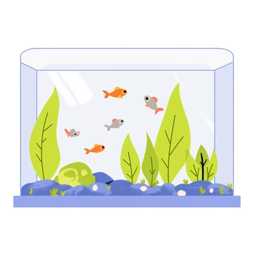Minnow