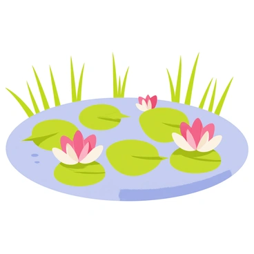 A pond filled with water lilies, displaying large green leaves and vibrant pink and white blossoms. The water lilies are floating gently on the surface of the tranquil water, reflecting soft light. There are small ripples around the lilies, suggesting a light breeze. In the background, green reeds frame the pond, adding natural detail to the scene.