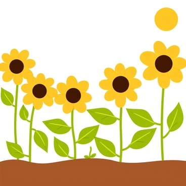 A vibrant field of golden sunflowers is stretching towards a bright sun in the clear blue sky. The sunflowers are tall with large, circular yellow petals surrounding dark brown centers. Among them, a single small seedling is sprouting from rich brown soil, with delicate green leaves just beginning to unfurl. The scene is filled with the lush greenery of the sunflower leaves and the gentle sway of the flowers in the breeze.