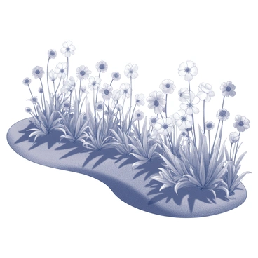 A garden filled with wildflowers in various stages of blooming. The flowers have distinct shapes and sizes, creating a vibrant border along a winding path. The sunlight casts shadows between the flowers, highlighting their textures and details. The grass is lush and well-kept, complementing the colorful display of flowers. The scene depicts a tranquil outdoor setting with a sense of natural beauty and growth.