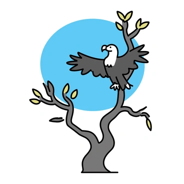 A condor with large, outstretched wings is perched on a branch of a twisted, ancient tree. The condor's feathers are predominantly black with white tips on the wings. The tree has a gnarled trunk and thick branches, showcasing the texture of its bark. Leaves are sparse, highlighting the unique structure of the tree. The background features a clear blue sky, emphasizing the majestic presence of the condor atop the striking tree.