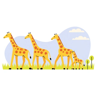 A family of giraffes walking in a straight line across a sunlit savannah. The giraffes have long necks and distinctive brown spots on their yellow fur. The background features tall green grasses and a few acacia trees scattered throughout the landscape. The sky is a clear blue with a few fluffy white clouds. Sunlight casts soft shadows on the ground as the giraffes move gracefully.