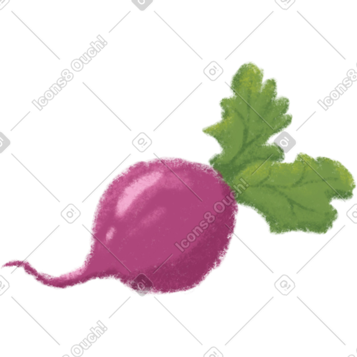 Ilustración Beet en estilo Toscana a descargar en PNG y SVG