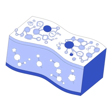 An illustration depicting a plasma membrane with varied thickness throughout its structure. The membrane is segmented to showcase different regions where the thickness changes. Embedded within the membrane are various proteins of different shapes and sizes, some extending through the membrane while others are partially embedded. Lipid molecules are illustrated surrounding the proteins, demonstrating differences in their arrangements and types. Some areas appear denser with proteins, while others are more sparse, creating a visual contrast in thickness. The background is minimal to focus on the membrane's detailed representation.