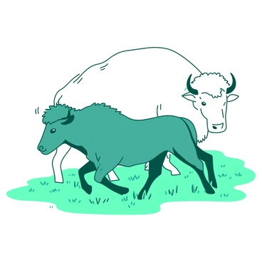 A teal playful young bison calf is frolicking beside its large white mother. The calf has a fluffy coat and is jumping in the grass, while the mother stands protectively nearby, watching over her calf. The background features a simple green meadow, creating a natural setting for this joyful moment. The sun casts a soft light on the scene, emphasizing the bond between the calf and its mother.