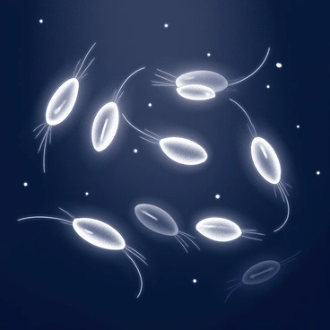 A swarm of krill is shown in a dark underwater setting. Each krill is emitting a bioluminescent light, creating a mesmerizing glow around them. The krill are visible in various positions, some swimming gracefully while others are clustered together. Their bodies are elongated and segmented, with delicate antennae extending from their heads. The surrounding water appears dark and vast, enhancing the luminous effect of the krill's light. Small particles float in the water, catching the glow and adding to the underwater ambiance.