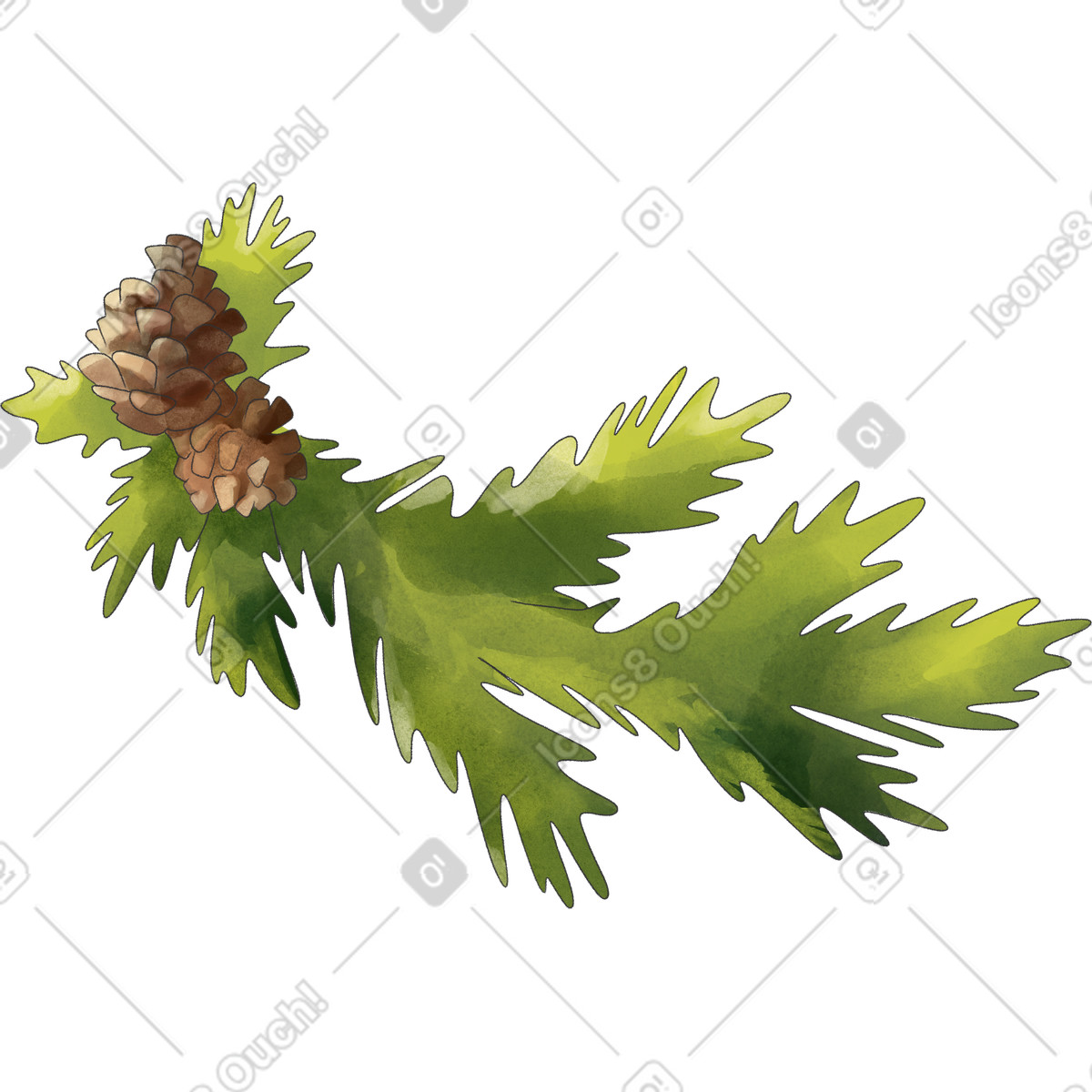Fir branch with cones illustration in Seasons style download in PNG, SVG