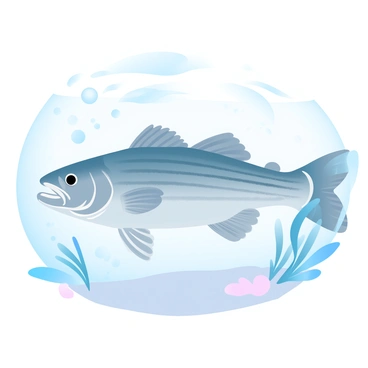 A striped bass is swimming gracefully in a clear body of water. Sunlight filters through the surface, creating shimmering patterns on the sand below. The fish has distinct horizontal stripes that contrast with its silvery body, enhancing its streamlined form. Surrounding the bass, various aquatic plants sway gently in the currents, adding depth to the scene. Bubbles rise from the fish, catching the light and creating tiny reflections as they ascend.